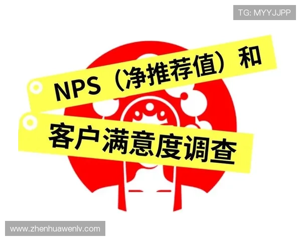 华体会平台功能优化方案分析提升平台稳定性与用户满意度