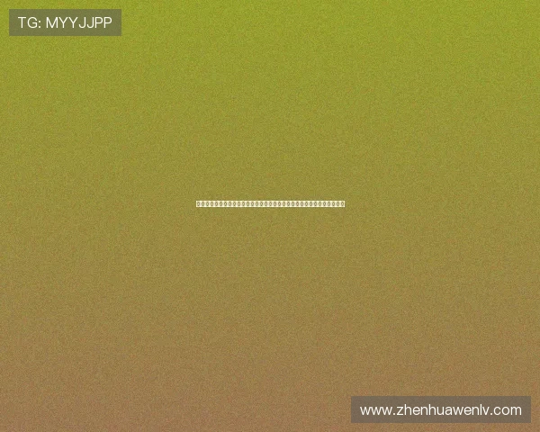 体育注册平台保障世界杯报道信息的安全性与合规性确保用户数据隐私保护